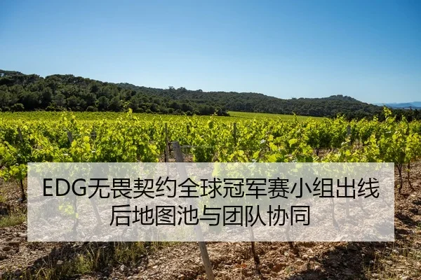 wu-wei-qi-yue-quan-qiu-guan-jun-sai-xiao-zu-chu-xian-hou-di-tu-chi-yu-tuan-dui-xie-tong-2-242.jpg